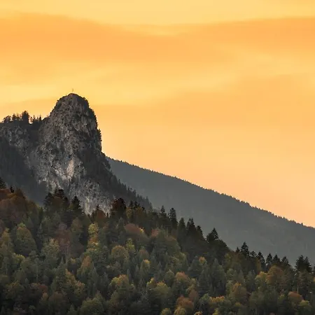 Lampl 7 * 바트코흘그루프